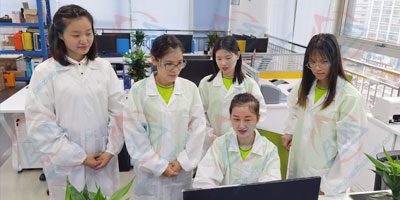 Ӌ���ͷ����r������ՈDƬ